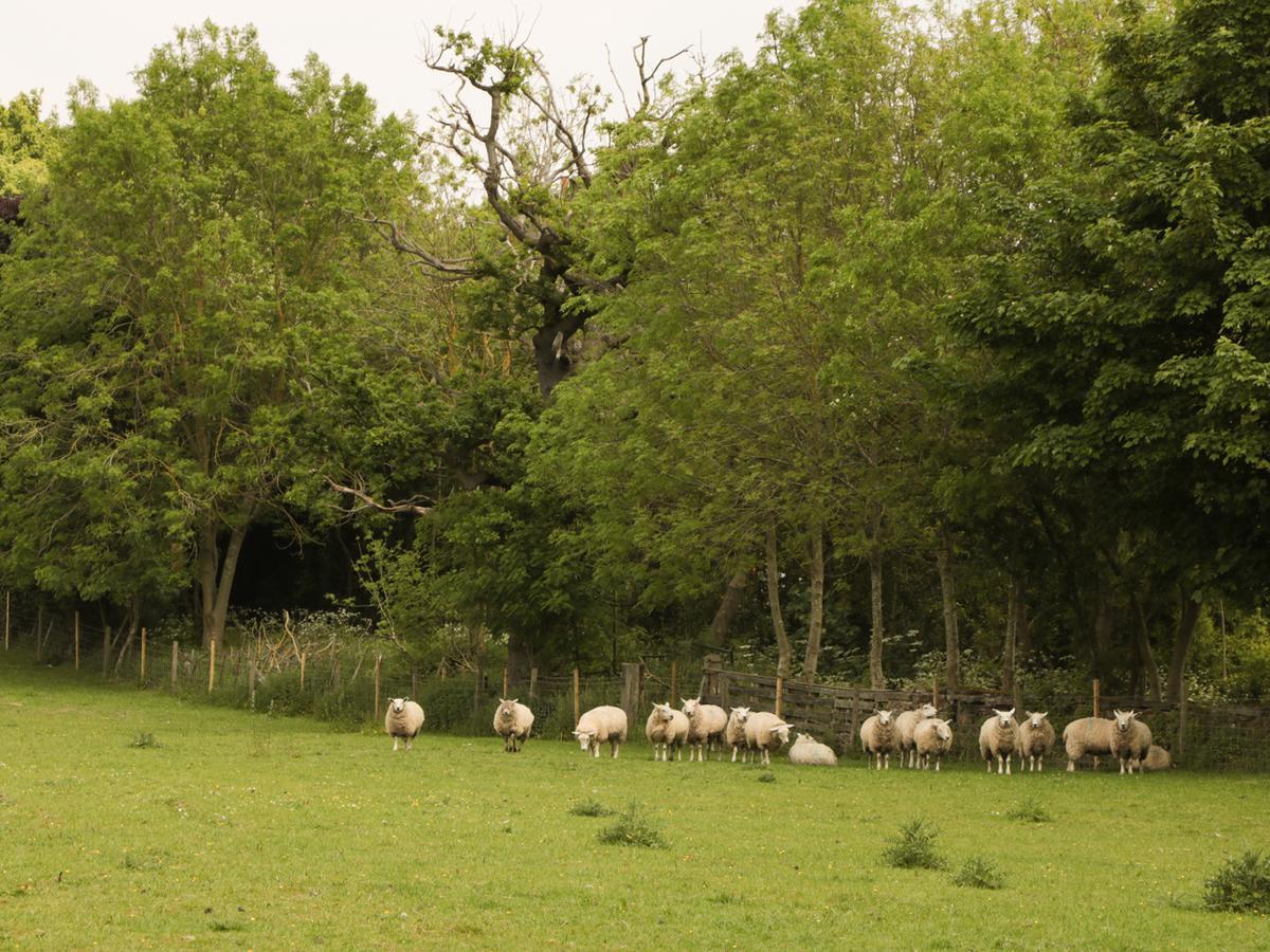 Just A Cottage, Newlands Farm Swanwick Εξωτερικό φωτογραφία